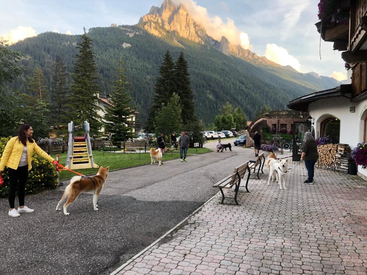 Alpine Touring Hotel-Petfriendly 博萨迪法萨 外观 照片