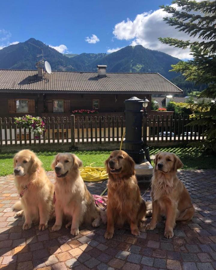 Alpine Touring Hotel-Petfriendly 博萨迪法萨 外观 照片